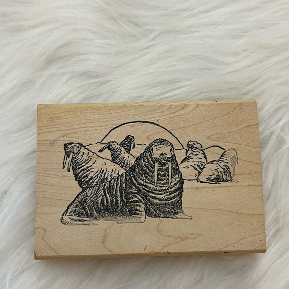 Beach Walrus Walruses Wood Mounted Rubber Stamp - Picture 2 of 5
